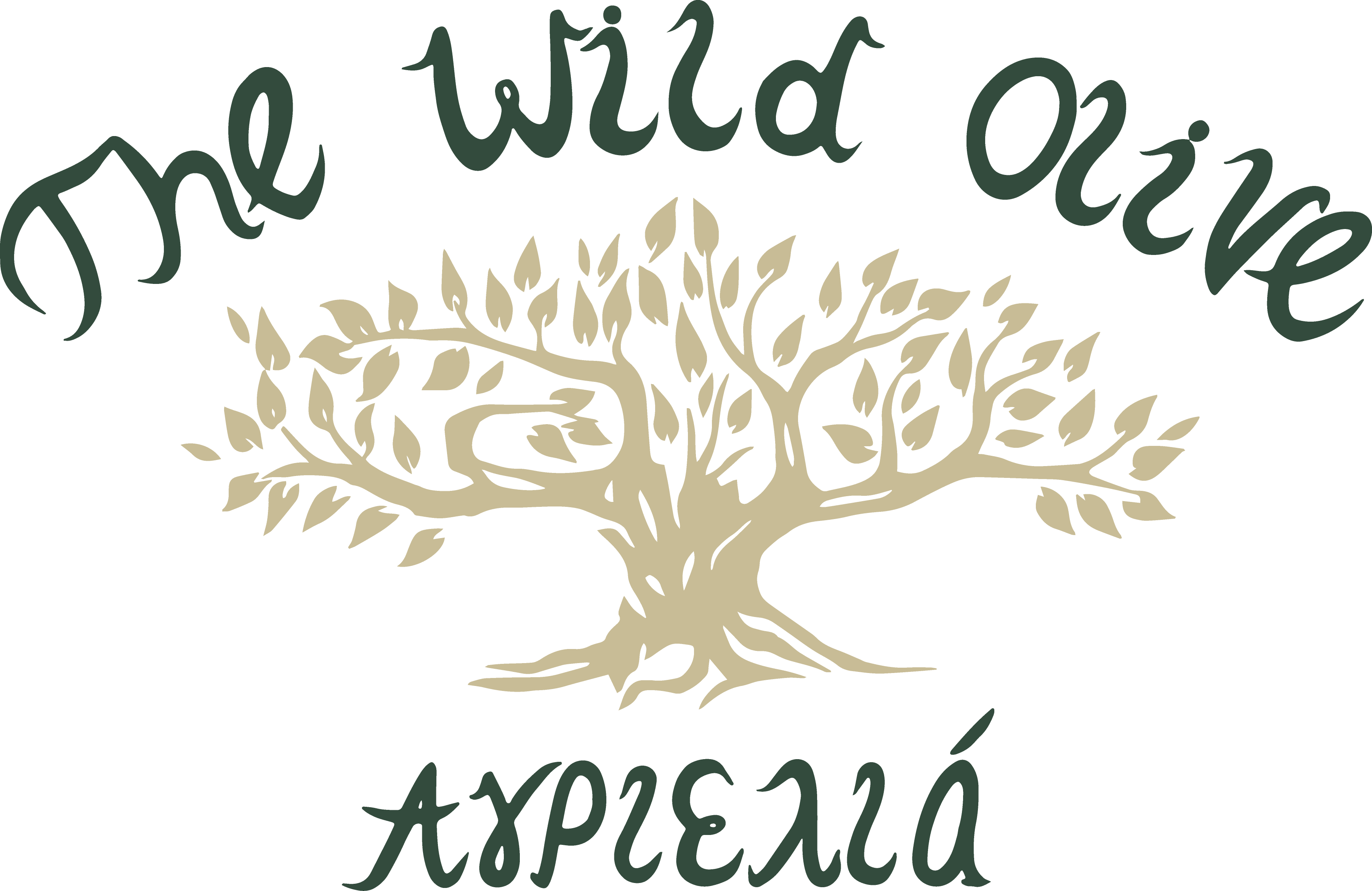 The Wild Olive Kastos
